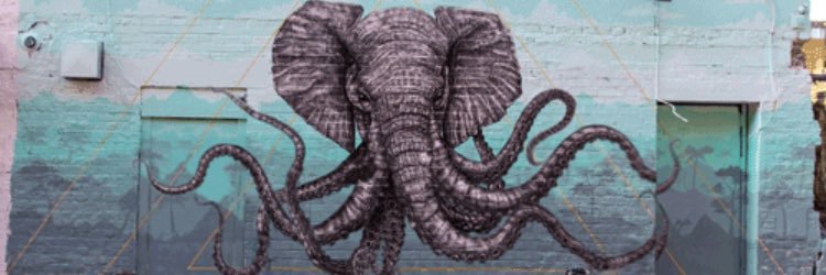 julssross's profile banner image