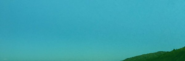 cactus__flower Profile Banner