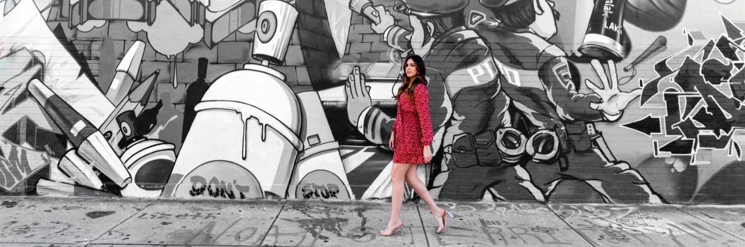 Lisa D'Aleccio banner