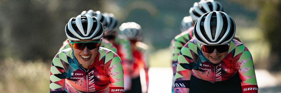 Mikayla Harvey banner