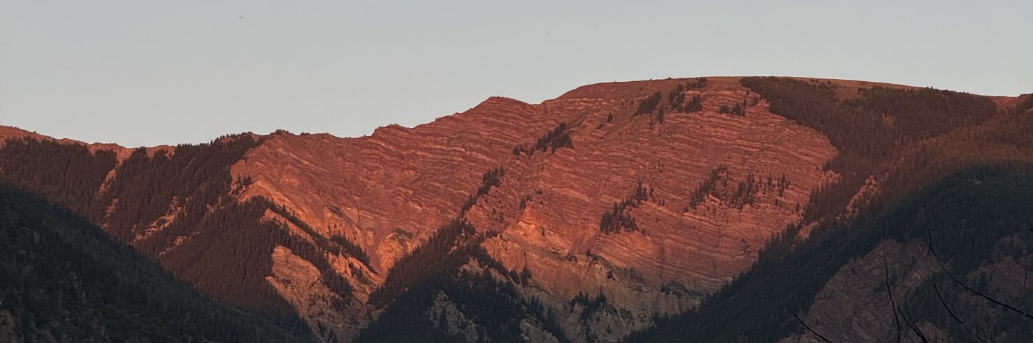 Vershon Brooks banner