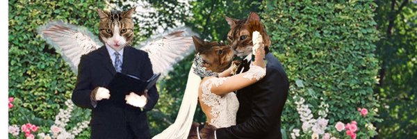 dawnybj Profile Banner