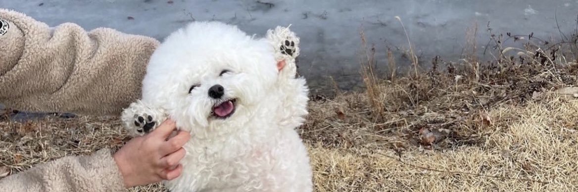 ₊˚🍵 ⋆꒰ა ₍ᐢ. ̫.ᐢ₎ ໒꒱ ⋆📚💖🌈🍪 banner