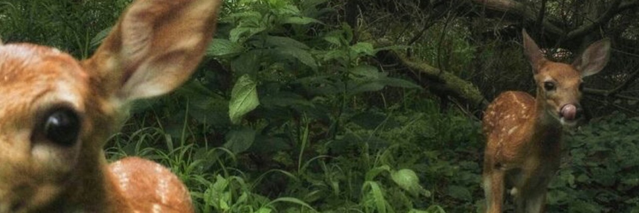 penisek's profile banner image