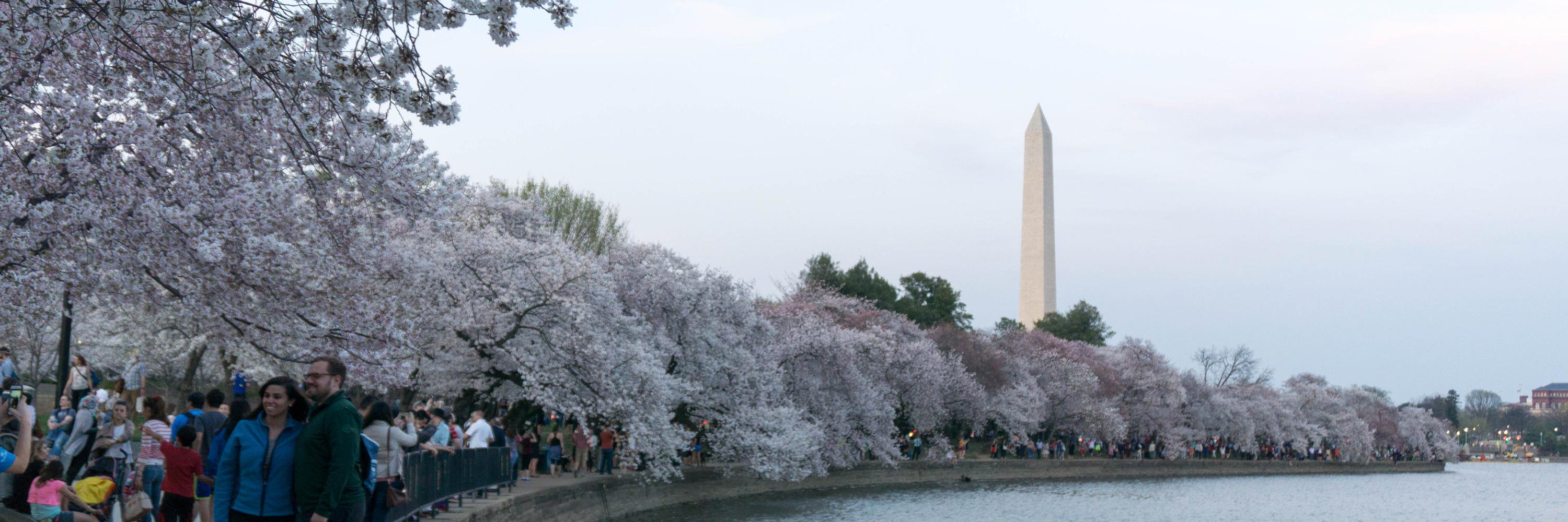 UCWashington's profile banner image