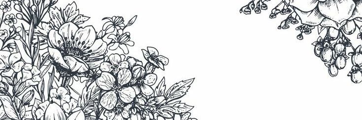 Bunnysemsem's profile banner image