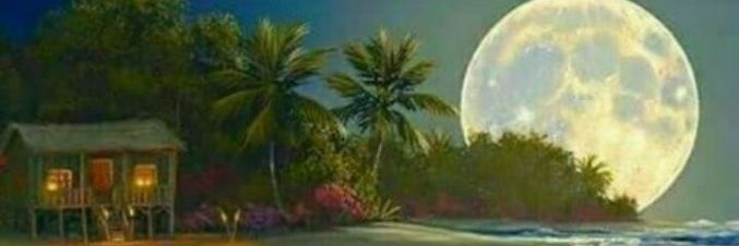 🆚️ Sisodia banner