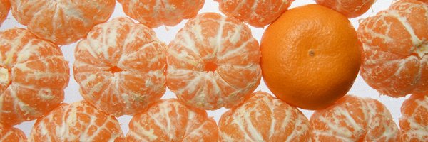 Postharvest_Dir Profile Banner