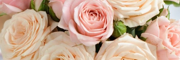 officialcocofab's profile banner image