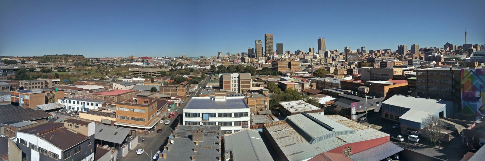 Jonathan Cinnamon banner