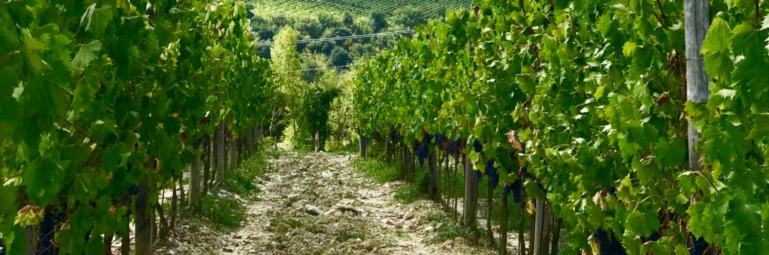 Linaje Garsea banner