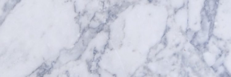 MorganMcGeever's profile banner image