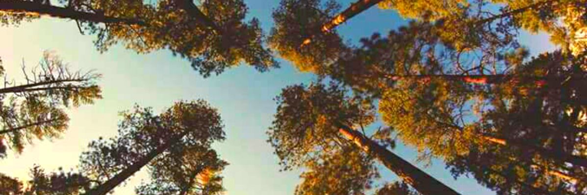 andreCR7rm's profile banner image