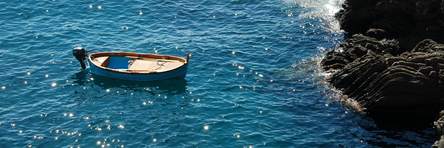 Katie M. 🌻💙💛🌻🇬🇪🇺🇦🇬🇪🇺🇦 banner