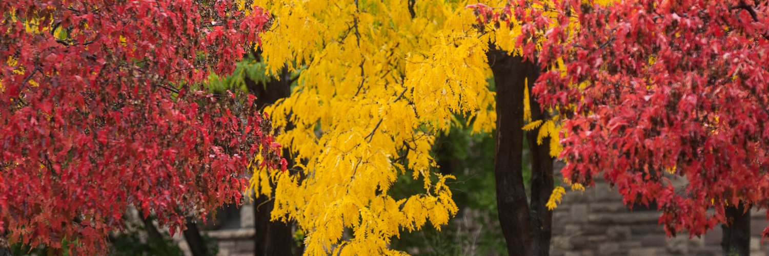 diversityUMN's profile banner image