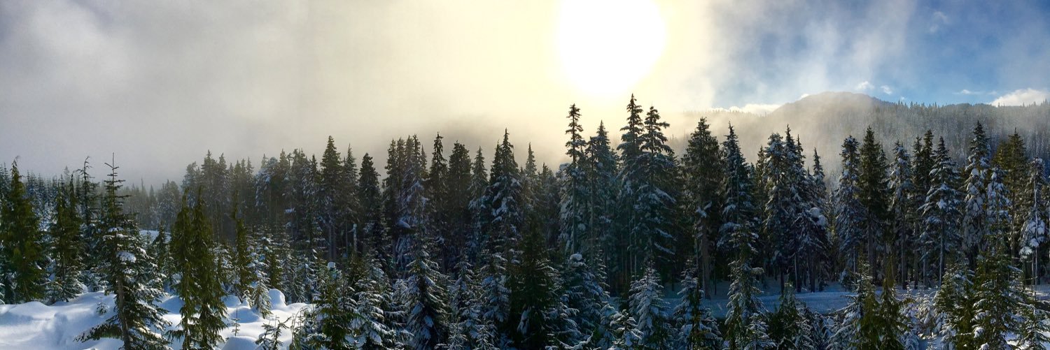 beckynewton014's profile banner image