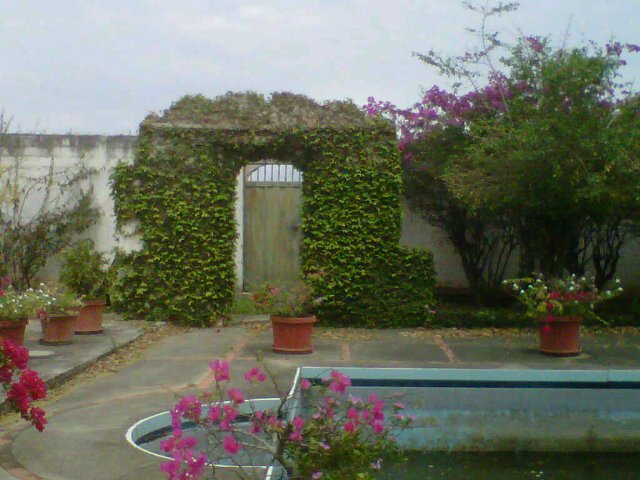 EcografiaKay's profile banner image