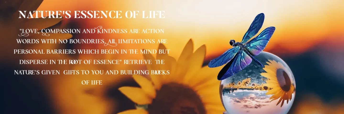 naturescords's profile banner image