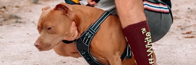 yacouoff's profile banner image
