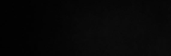 lisa_domeli's profile banner image