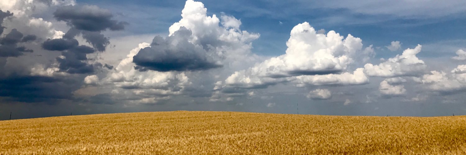 LoganEvers's profile banner image