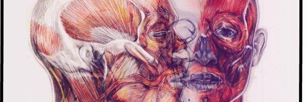 dave_hermart's profile banner image