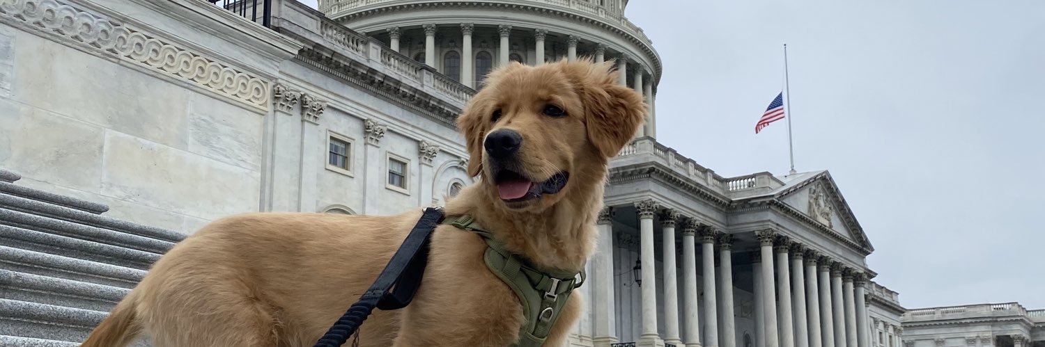 Justin Discigil banner