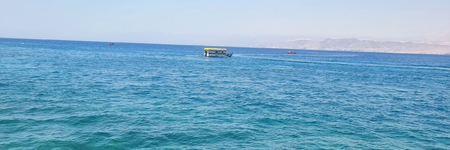 asmaa_fayomi's profile banner image
