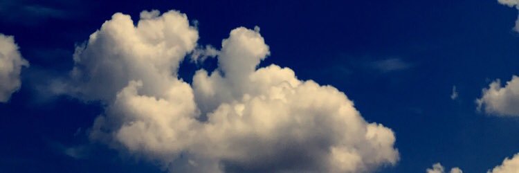 Jayda Felker banner