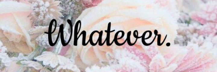 EsttefiiRottem's profile banner image