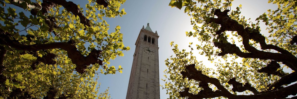 Berkeley-Haas CRB banner