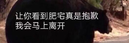 x1s38's profile banner image