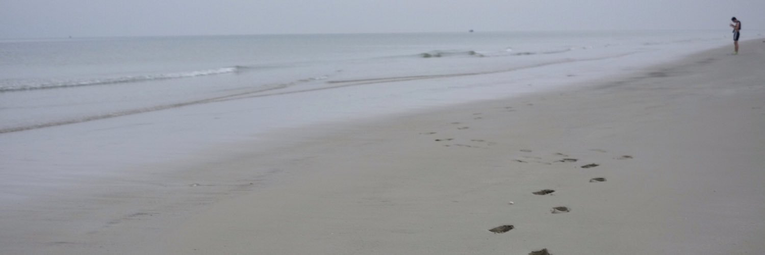 lin_sunlight's profile banner image