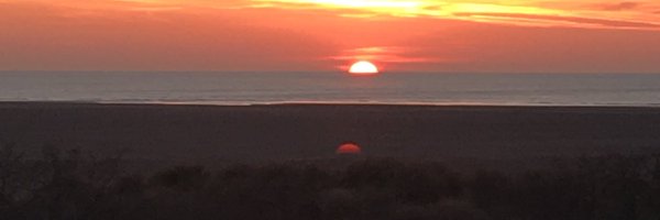 m0gg13 Profile Banner