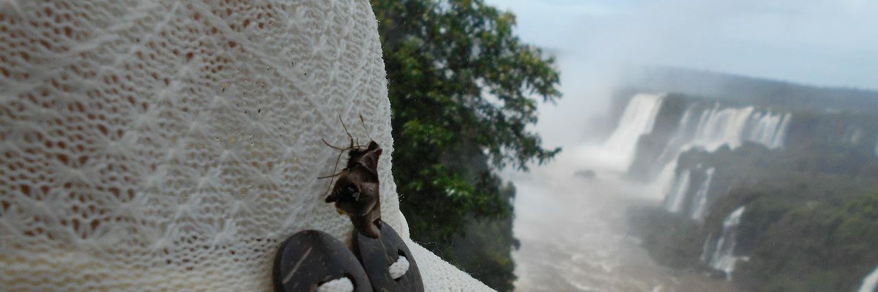 YaninaDraperi's profile banner image