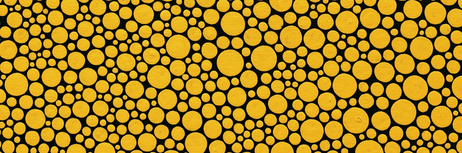 holejnik's profile banner image