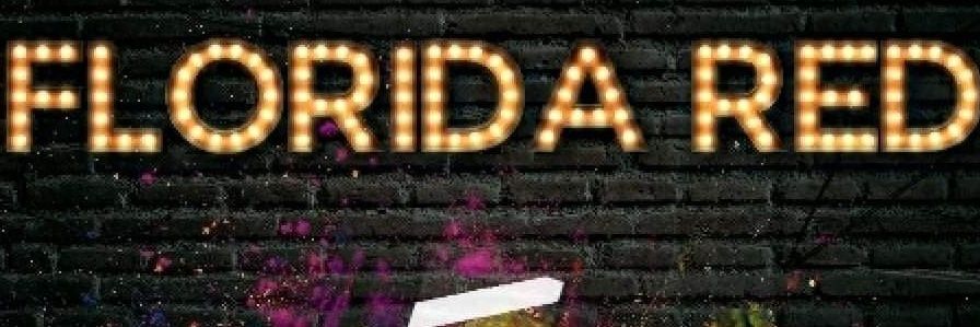 🛑Flare Earnhardt🛑 banner