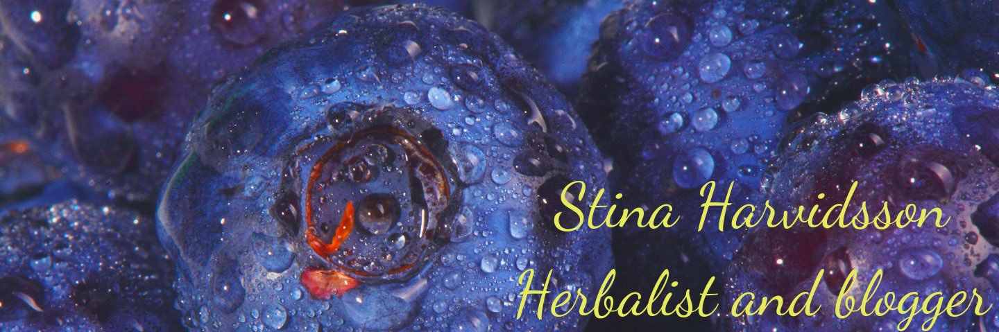 Stina69h's profile banner image