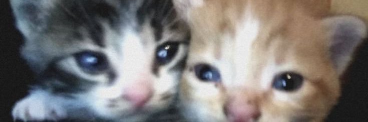 mfbillz7's profile banner image