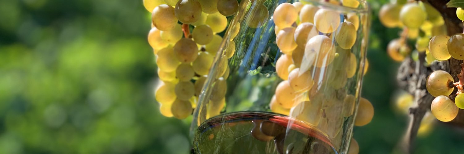 Samantha Halman banner