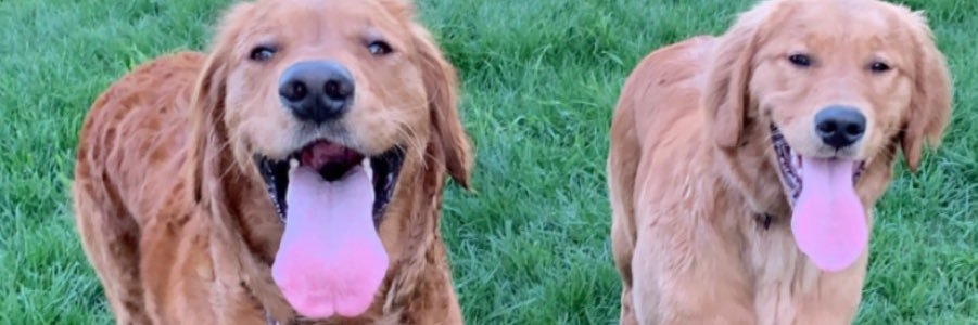 kzac4's profile banner image