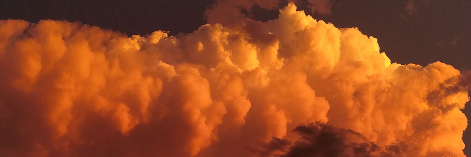 TomasDMaino's profile banner image