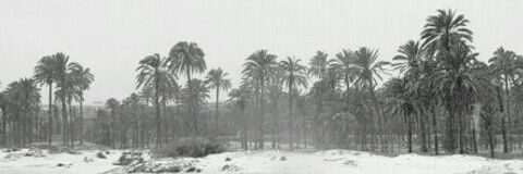 PabloSimon98's profile banner image
