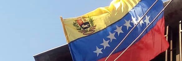 Psuv La Pastora banner