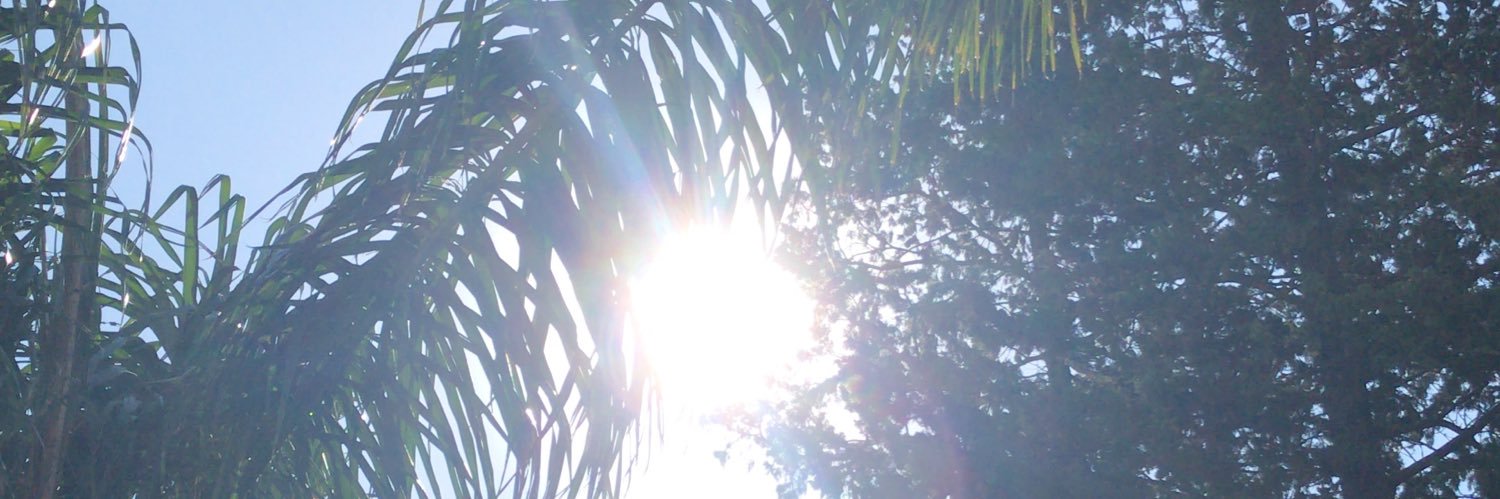 CaroGamond's profile banner image
