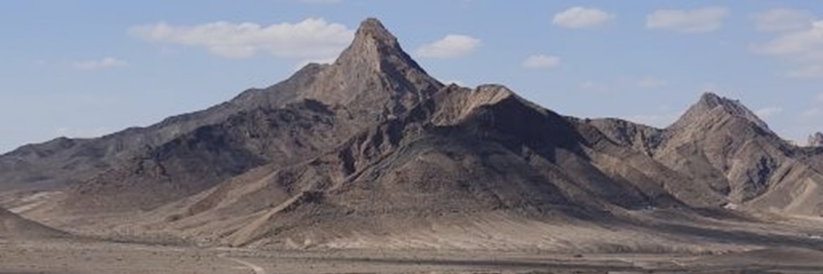 مستر فری banner