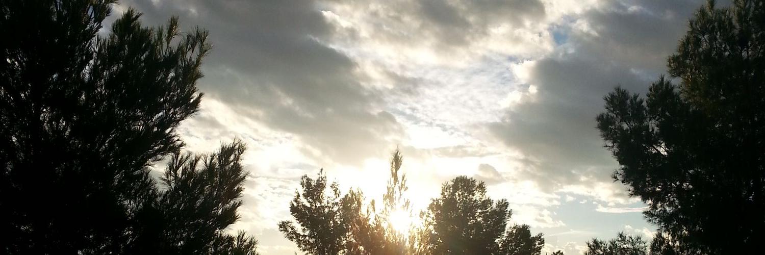 wykdryde's profile banner image