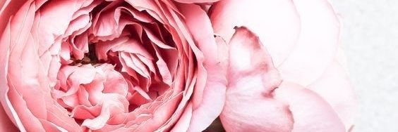 I_am_Kazz's profile banner image