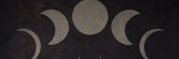 caaavellar's profile banner image