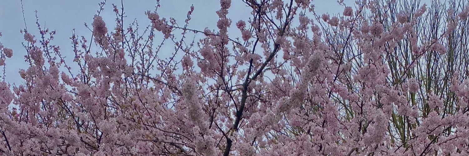 isabellaprb's profile banner image